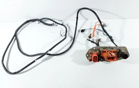 Nissan Leaf I (ZE0) Other wiring loom RCS800G 295G03NL0B 295J23NL0A