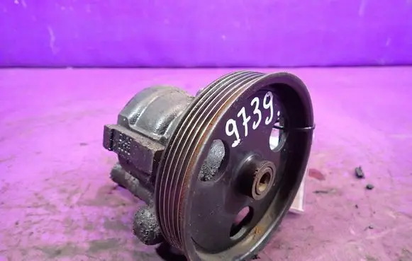 Renault Kangoo I Power steering pump