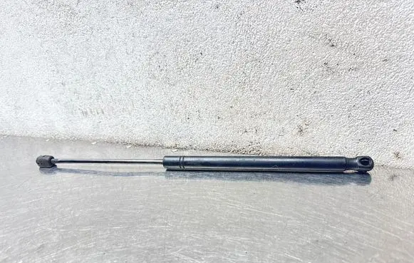 Opel Signum Tailgate/trunk strut/damper 13191401