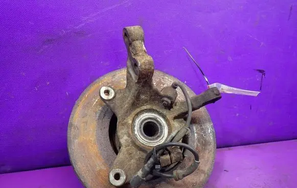 Renault Scenic I Front wheel hub spindle knuckle