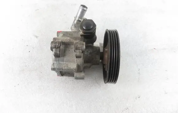 Dacia Sandero Power steering pump 7613955613 491103834R