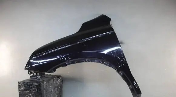 Renault Koleos II Fender mounting bracket