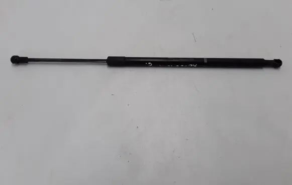 Tailgate strut