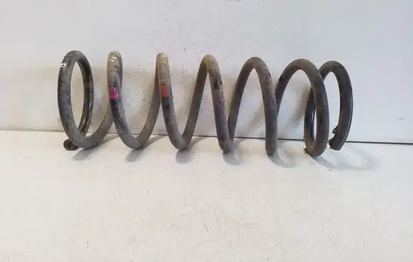 Nissan Pathfinder R51 Rear coil spring