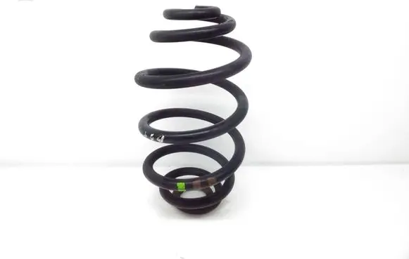 Volkswagen PASSAT B5.5 Rear coil spring
