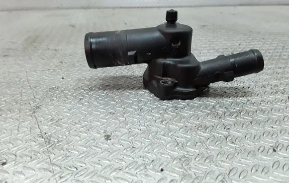 Thermostat/thermostat housing