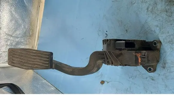 Fiat Punto (199) Accelerator pedal position sensor 