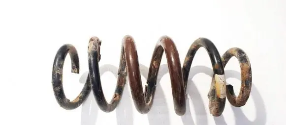 Toyota RAV 4 (XA30) Rear coil spring