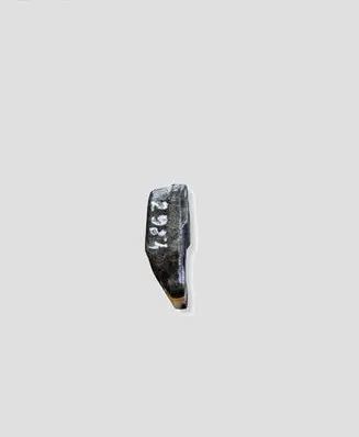 Opel Antara Fuel Injector clamp holder
