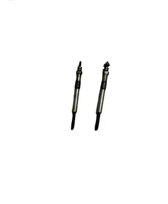 Volvo C30 Glow plug 0250202048