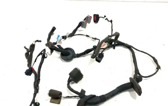 Front door wiring loom