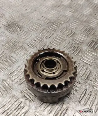 Camshaft pulley/ VANOS
