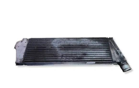 Renault Scenic I Intercooler radiator N7748 17022005052