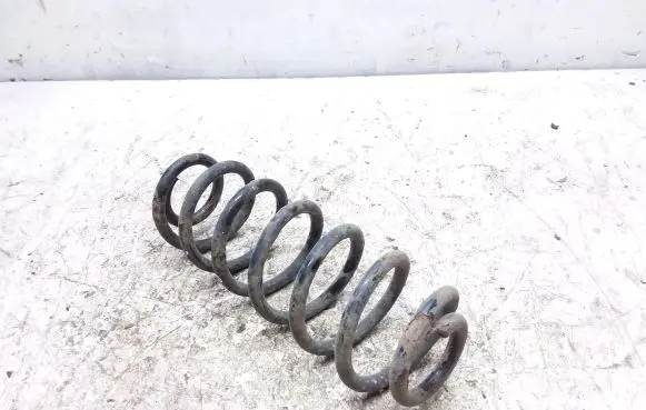 Volkswagen PASSAT B6 Rear coil spring