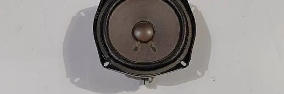 Chevrolet Corvette C6 Rear door speaker 10333018 01090809 254268004