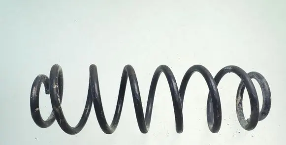 Skoda Octavia Mk1 (1U) Rear coil spring