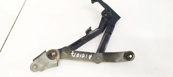 Tailgate/trunk/boot hinge