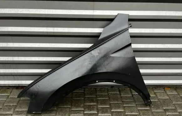 Volkswagen Tiguan Fender 5NA821105F