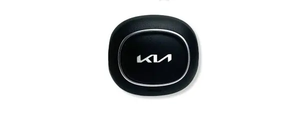 KIA Sorento IV Steering wheel airbag 80100P2100 46669