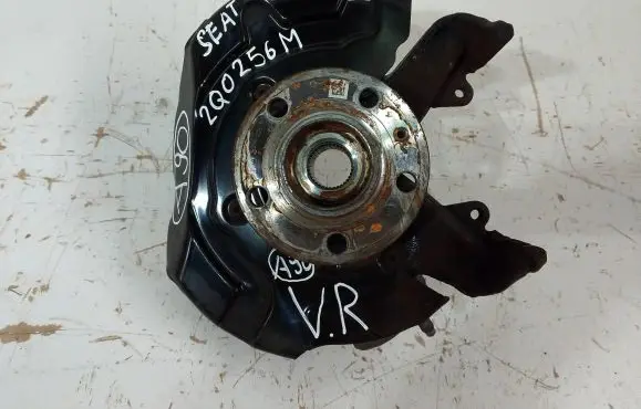 Volkswagen Polo VI Front wheel hub spindle knuckle 2Q0256M