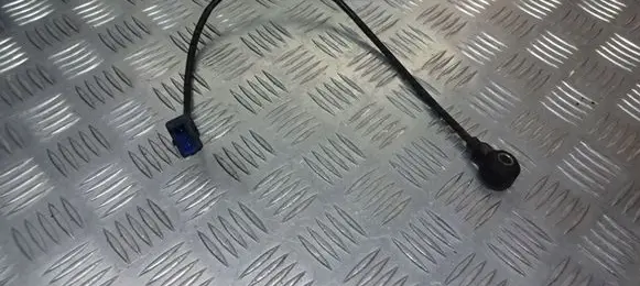Volkswagen PASSAT B5.5 Detonation knock sensor 054905377G