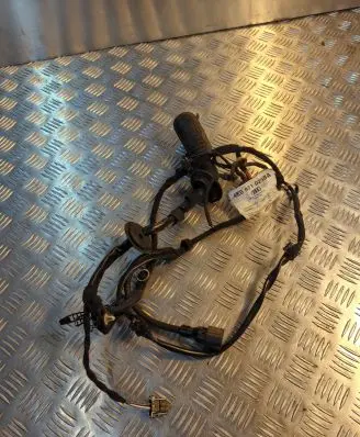 Audi A8 S8 D3 4E Front door wiring loom 4E0971029BA