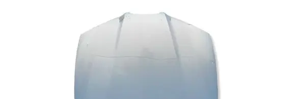 Seat Ibiza III (6L) Engine bonnet/hood 