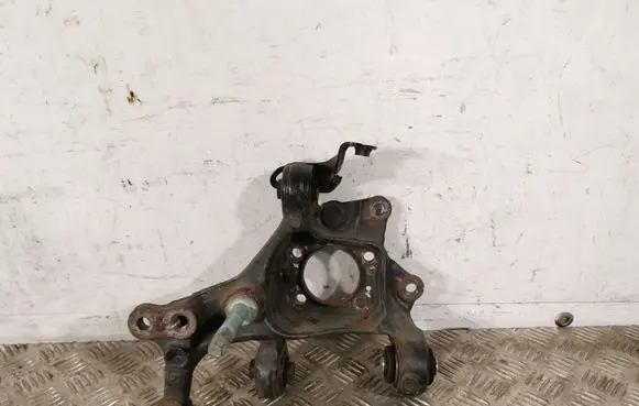 Toyota C-HR I Rear wheel hub 42313F4010
