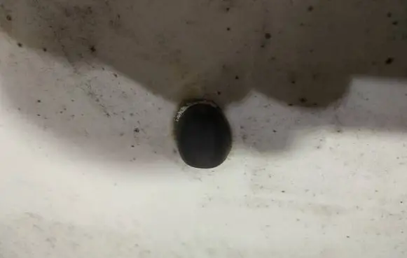 Citroen C4 I Windshield washer spray nozzle 