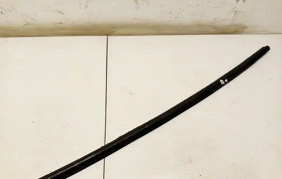 Dacia Sandero Front door glass trim molding PILKOS
