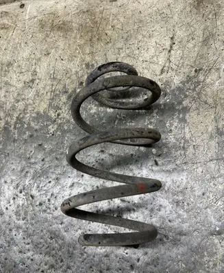 Renault Modus Rear coil spring