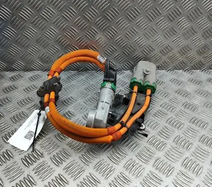 BMW iX Other wiring loom 5A0C132