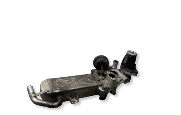 Volkswagen PASSAT B7 EGR valve 0280751016 131809