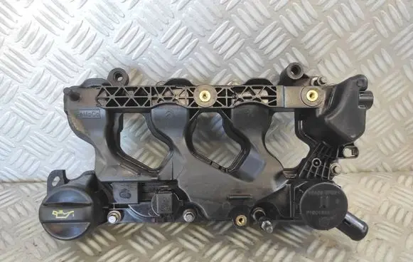 Peugeot Partner III Rocker cam cover P1001845
