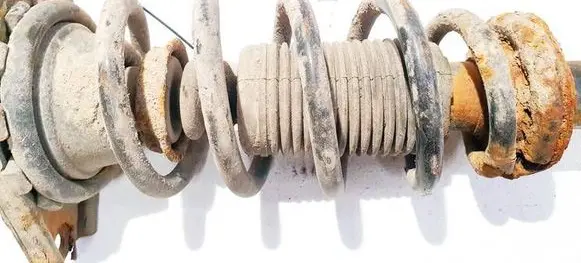 Rear coil spring