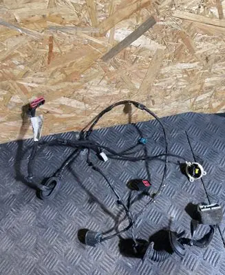 Jaguar XF X250 Rear door wiring loom 8X2T14633 12032457