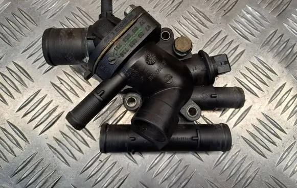 Thermostat/thermostat housing