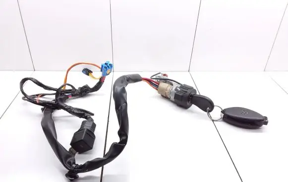 Citroen C5 Ignition lock 9632897680