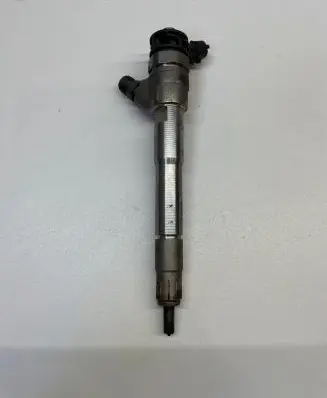 Renault Scenic IV - Grand scenic IV Fuel injector 0445110895 166003281R HMLGT3639R