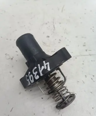 Thermostat/thermostat housing