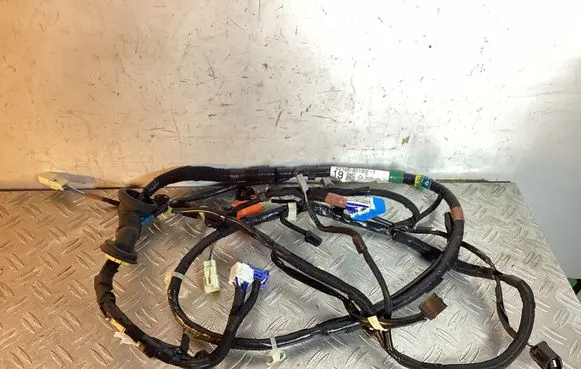 Toyota Land Cruiser (J200) Tailgate/trunk wiring harness 8218560190F1 8218560190