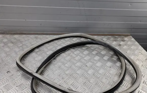 Cadillac CTS Front door rubber seal