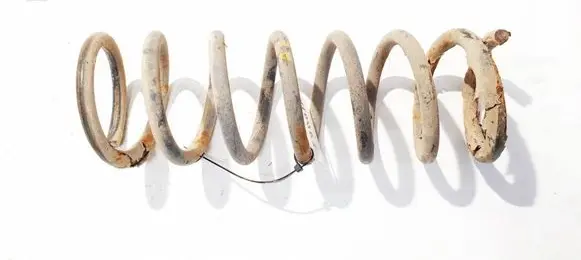 Rear coil spring