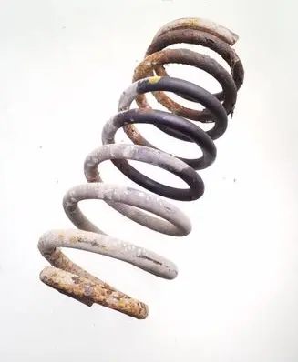 Hyundai Trajet Rear coil spring
