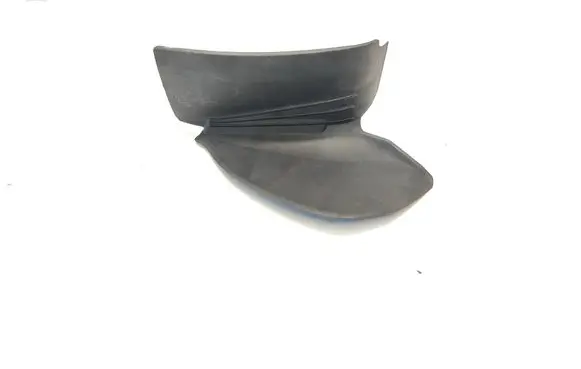 Rear/tail light trim molding