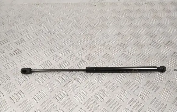 Ford Mach-E I Front bonnet/hood damper/strut LJ8BR16C827AB