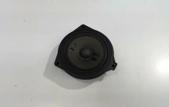 Panel speaker