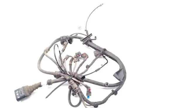 Porsche Taycan 9J1 Other wiring loom 9J1971761A 9J1971286C