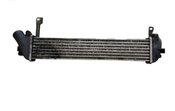Renault Kangoo I Intercooler radiator 8200221885