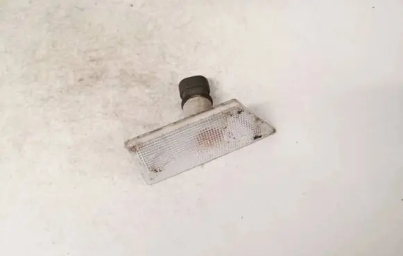 Opel Signum Front fender indicator light